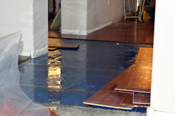 Professional Water Damage Restoration technician working in Firth, NE